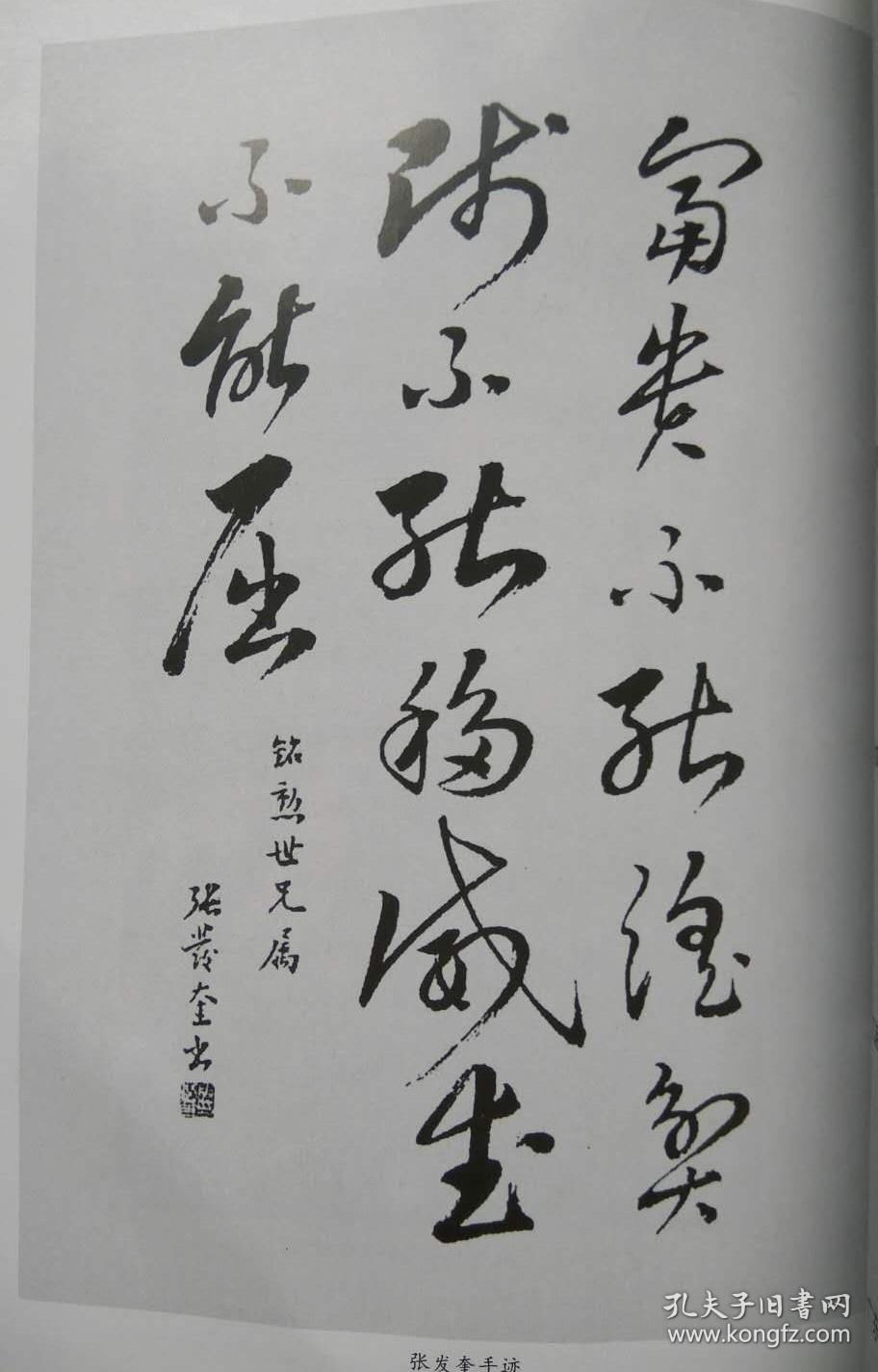 铁军军长抗日名将张发奎传王心刚著珠海出版社2005年1版1印