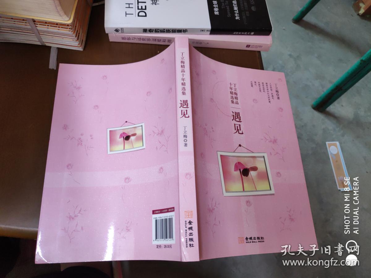 丁立梅作品十年精选集:遇见