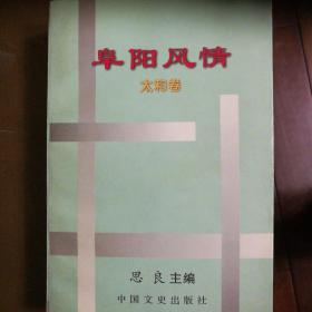 阜阳风情 太和卷