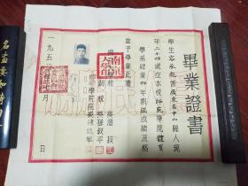 1952年南京大学――师范学院签发――体育学系毕业证书