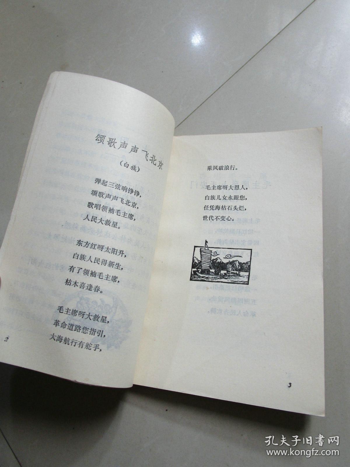 云南各族颂歌一百首(诗歌集)