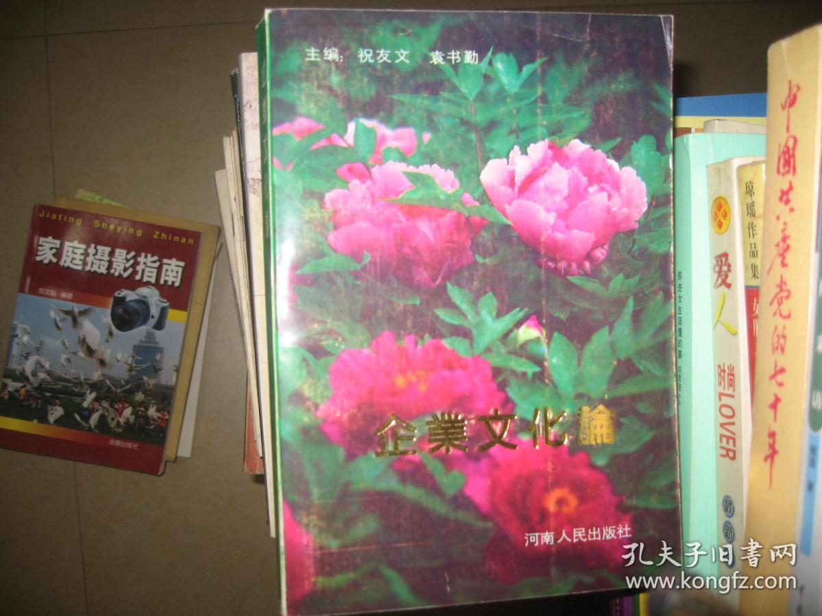 企业文化论_02祝友文 袁书勤_孔夫子旧书网