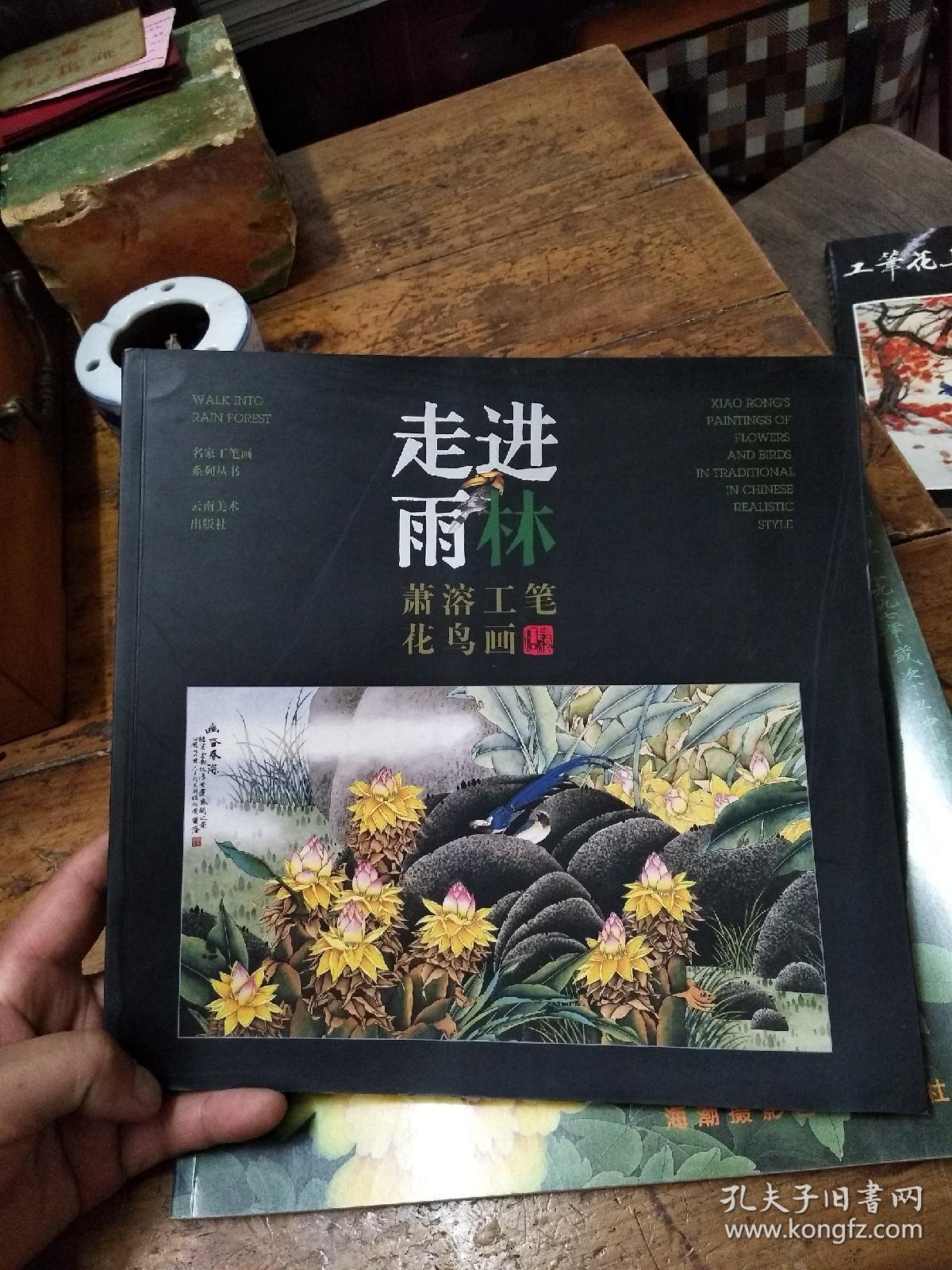 走进雨林―萧溶工笔花鸟画