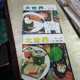 大世界〈小画库，3-4-5-6岁〉，1990年江苏，2 本合售，奇书少见，看图免争议。