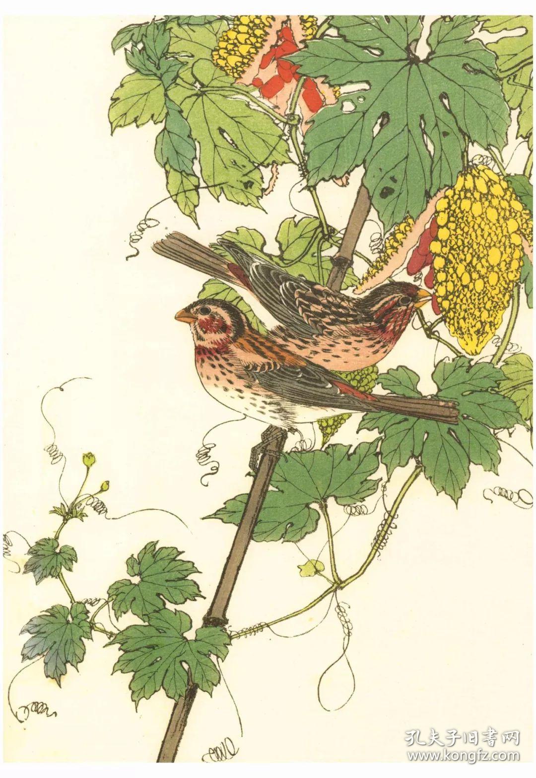 本店专题美成在久沈尹默专题敦煌艺术周边日本中国绘画研究译丛中国