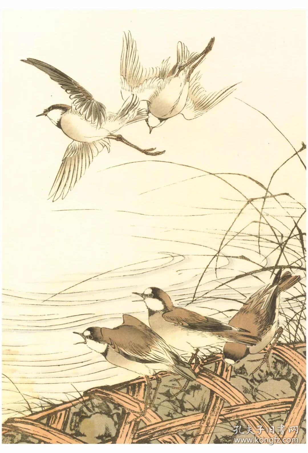 本店专题美成在久沈尹默专题敦煌艺术周边日本中国绘画研究译丛中国