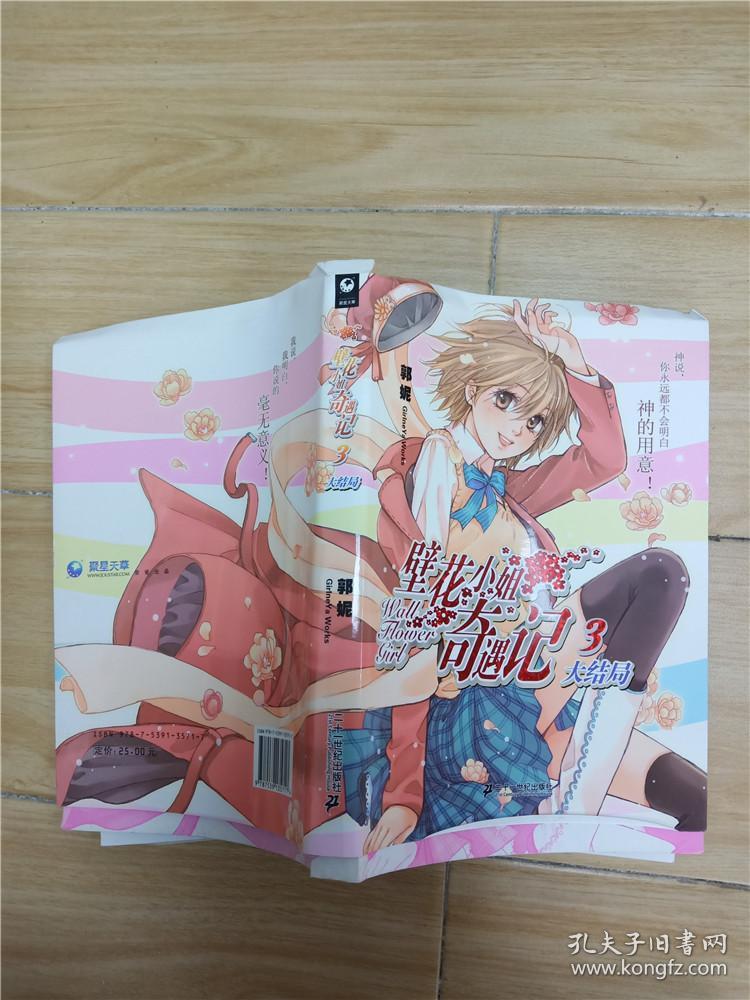 壁花小姐奇遇记 3