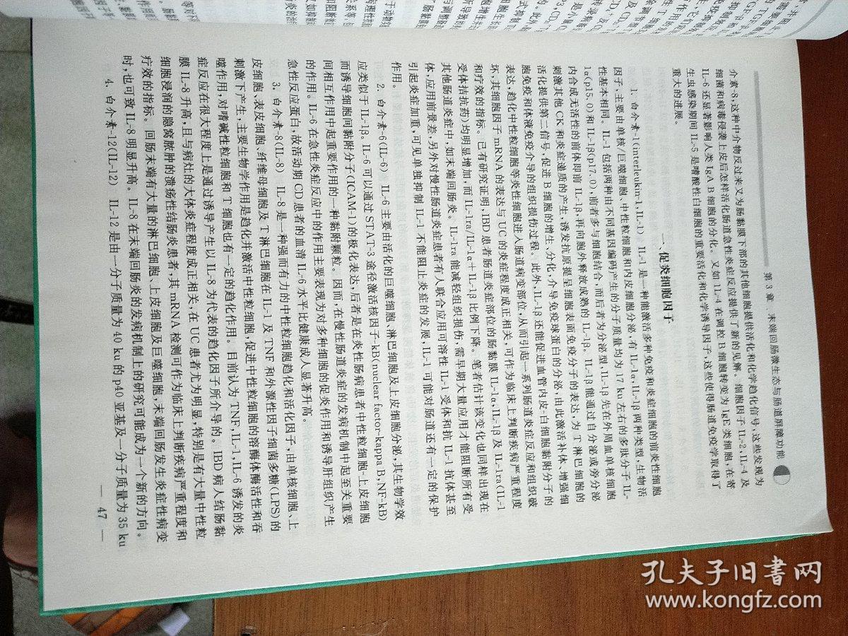 末端回肠炎的基础与临床