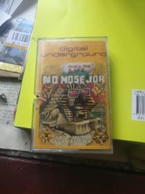 digital underground-ni nosr jor（老磁带）