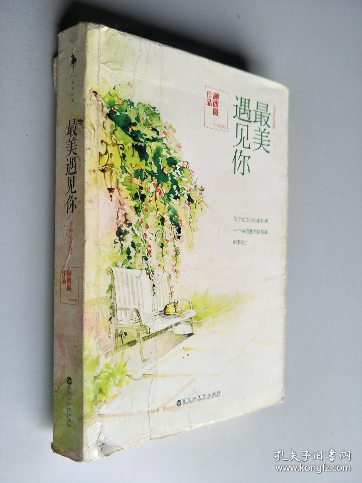 最美遇见你:完美纪念版