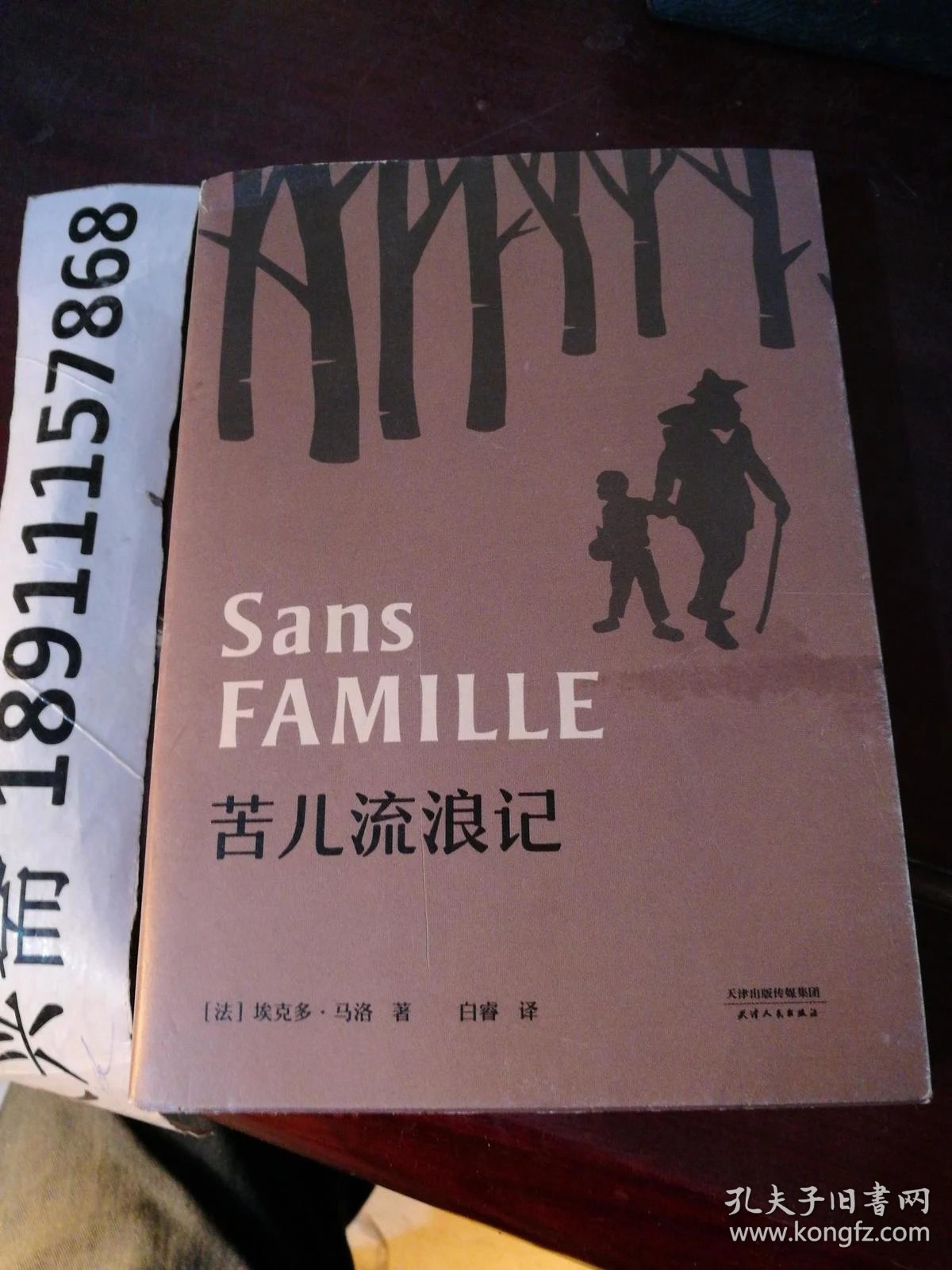苦儿流浪记(法国国家图书馆精选馆藏版本权威译本)