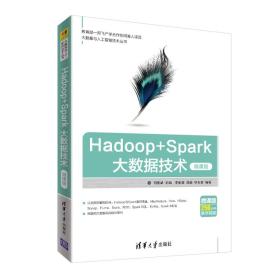 二手正版Hadoop+Spark大数据技术