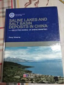 SALINE LAKES AND SALT BASIN DEPOSTS IN CHINA《中国盐湖和盐湖盆地沉积郑绵平郑绵平精选作品。