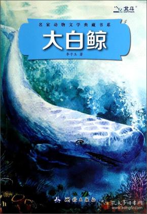 大 白鲸
