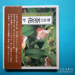 山の茶花  炉编 日文原版 腰封和签都在 花卉风景 铜版纸全图版图册
