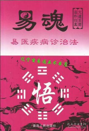 《 易魂—— 易 医 疾病 诊治 法》黄鉴著32开260页
