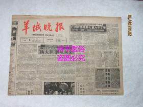 羊城晚报（原报）1987年10月5日总第2790号——“杨大胆”胆从何来、军中一团火、股市外的太太团