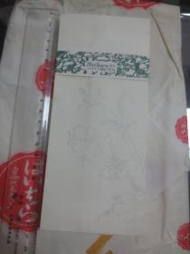 日本东京榛原制 高档信封10个，信纸一本（大概八九十年代）