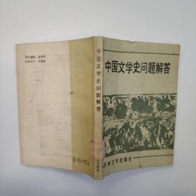 中国文学史问题解答。