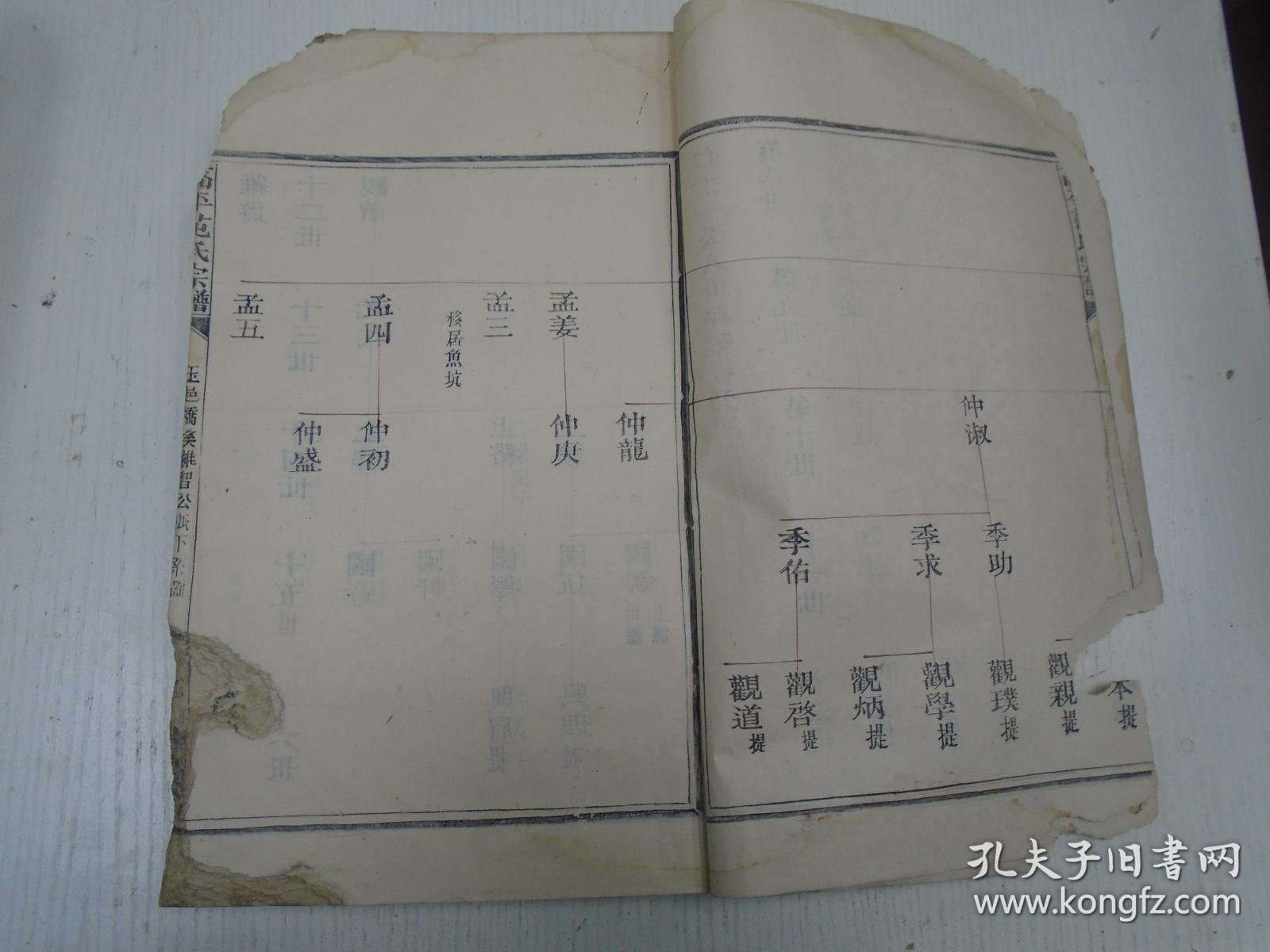 民国版/餘庆堂《高平范氏宗谱 公字号》卷之三(仁十一公八世孙维智公