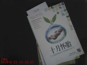 十月怀胎