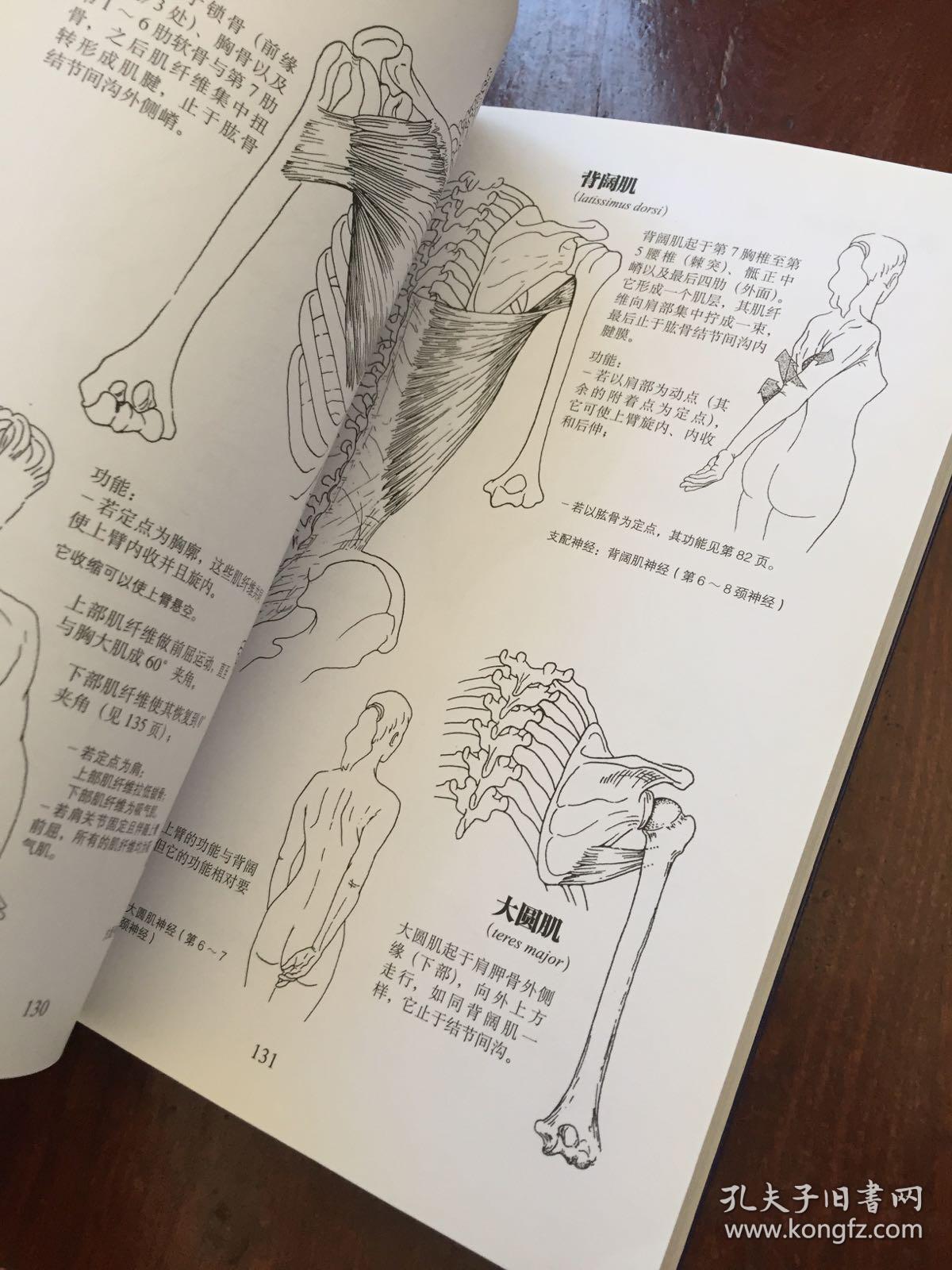 运动解剖书:运动者最终要读透的身体技能解析书