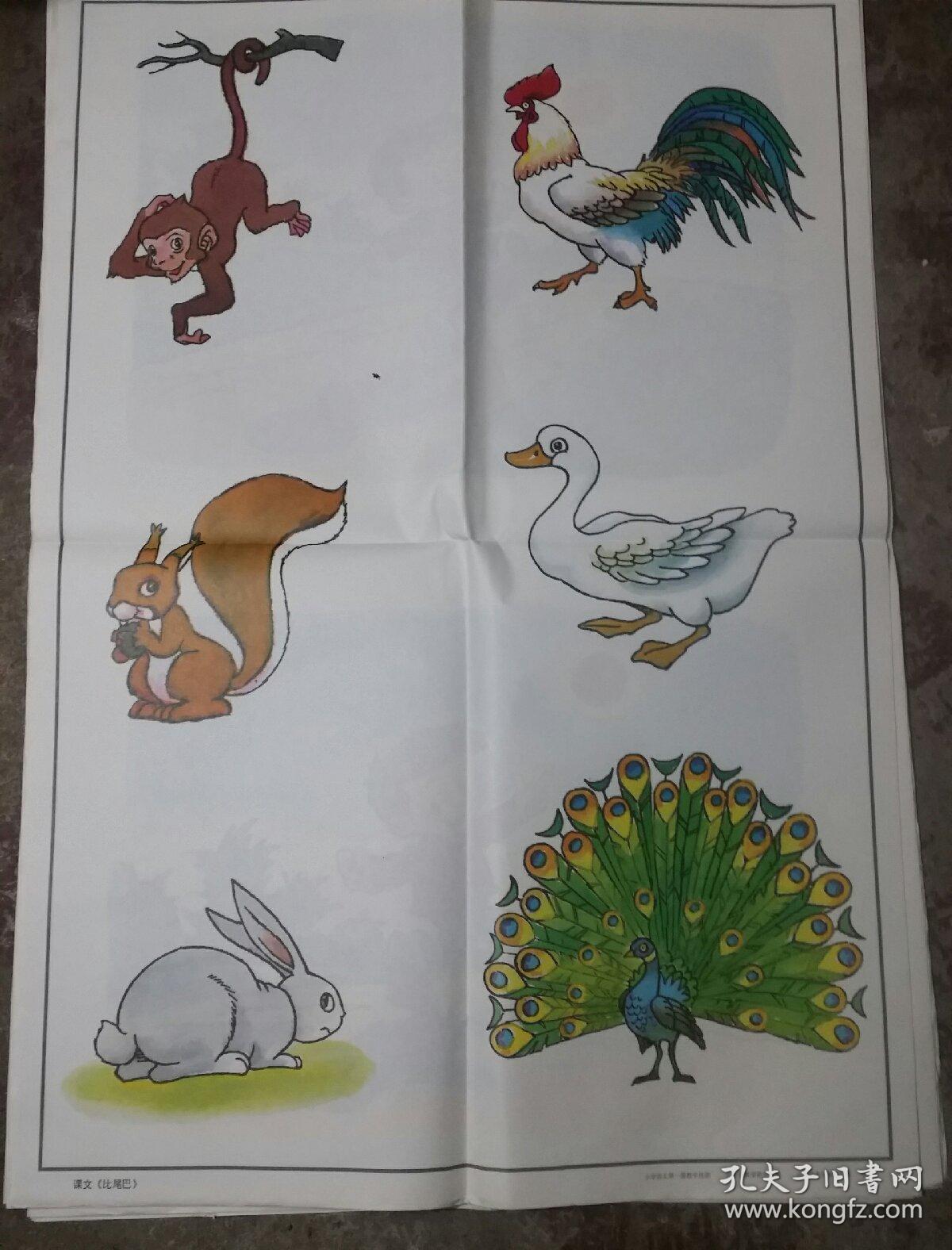 小学语文第一册教学挂图共18张合售