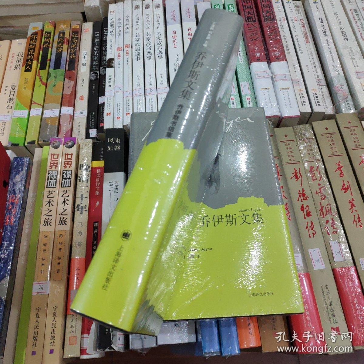 乔伊斯文集:乔伊斯书信集