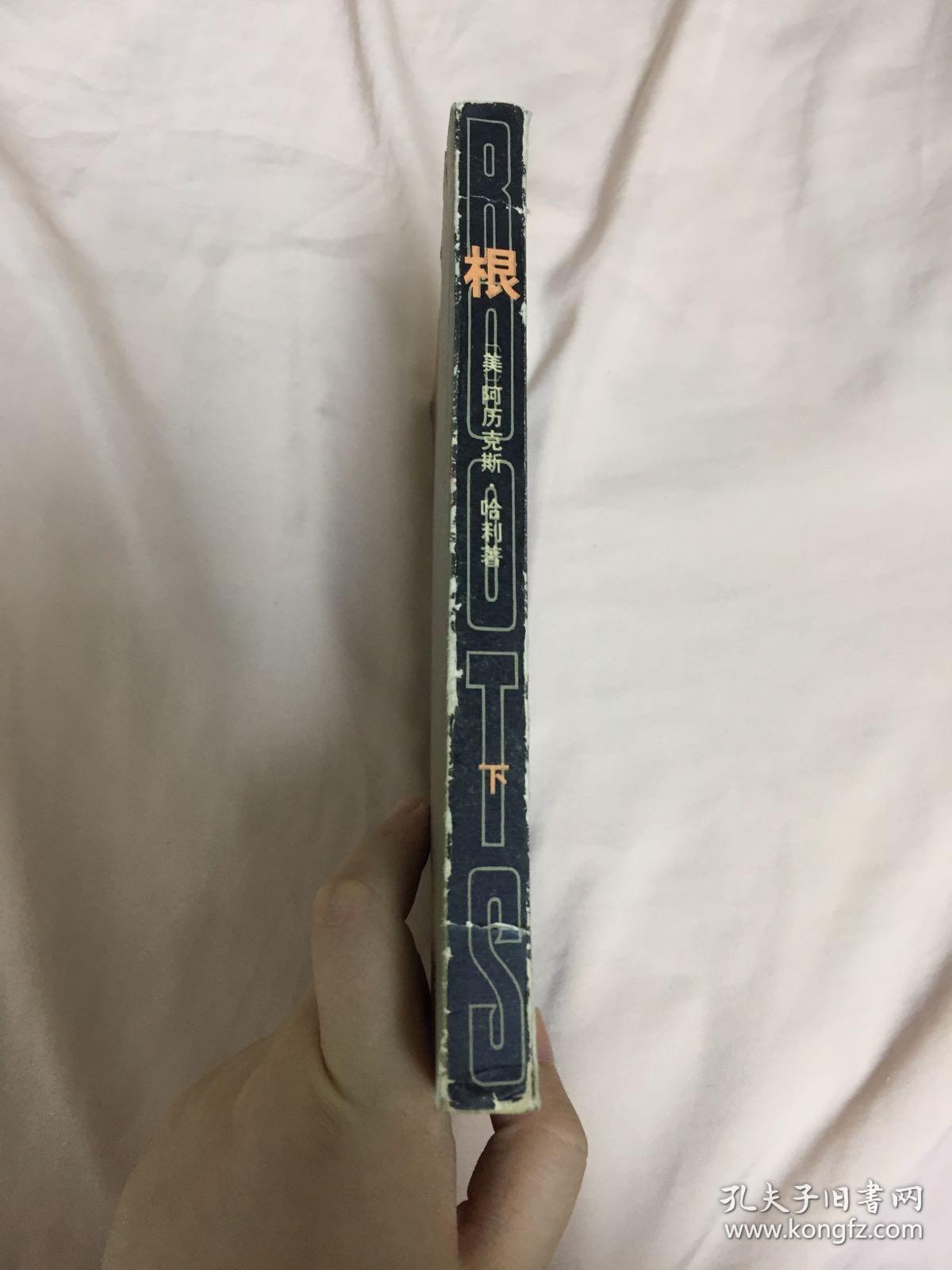 根 一个美国家族的历史