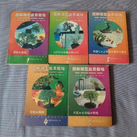 图解微型盆景栽培 （1-5册全套）