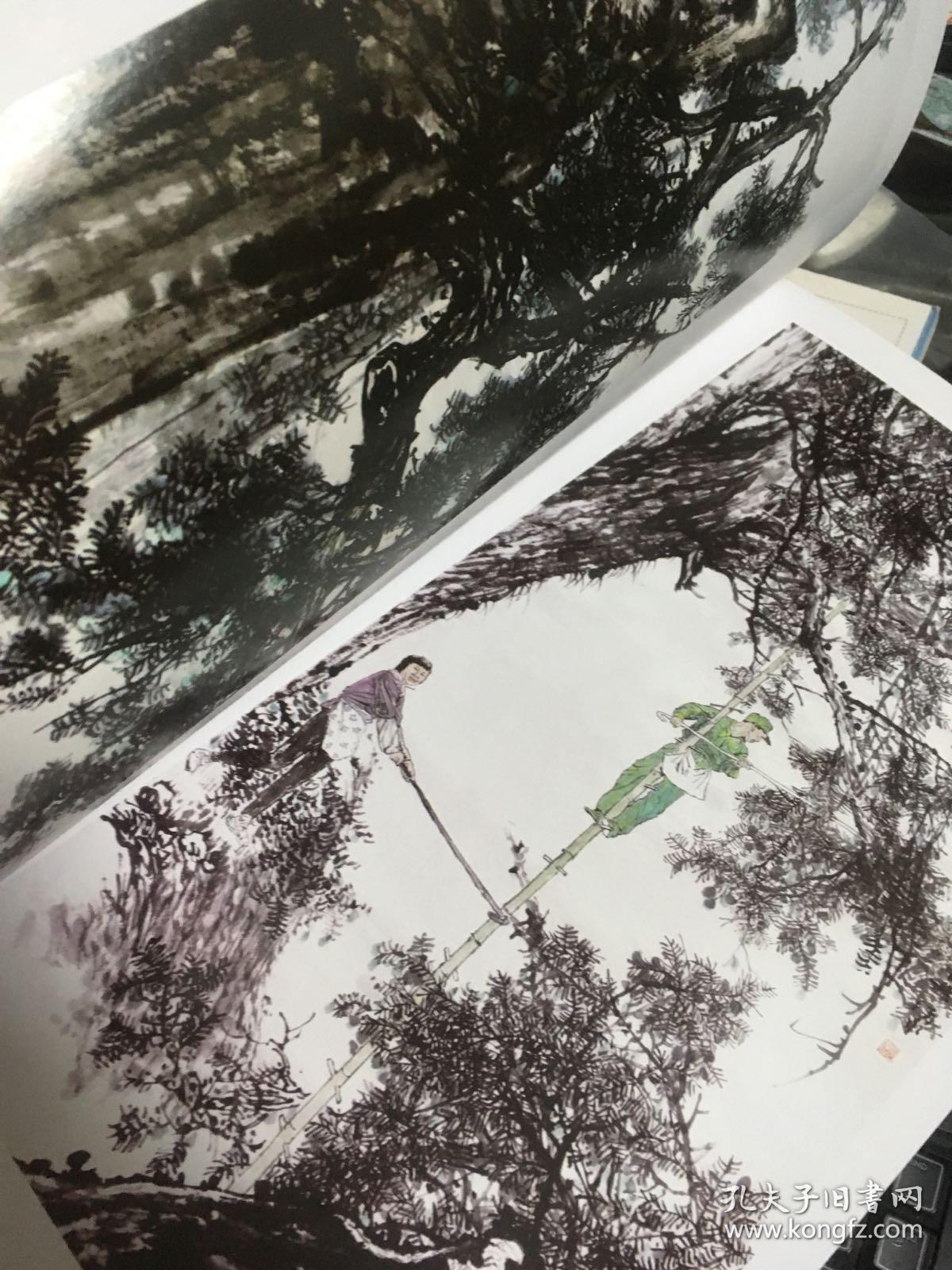 水墨香榧 (诸暨画家画香榧)