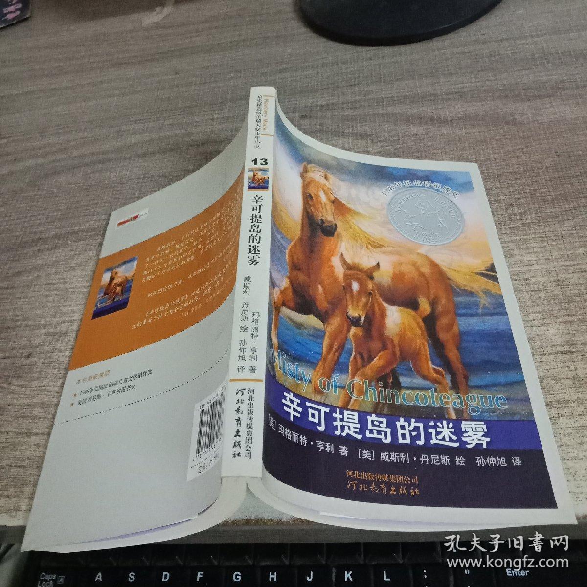 辛可提岛的迷雾