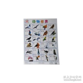 阳光宝贝大 挂图—— 动物 世界(6)