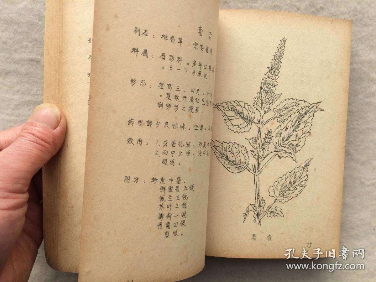 中草药土方汇编 油印本 上海国营群力草药店