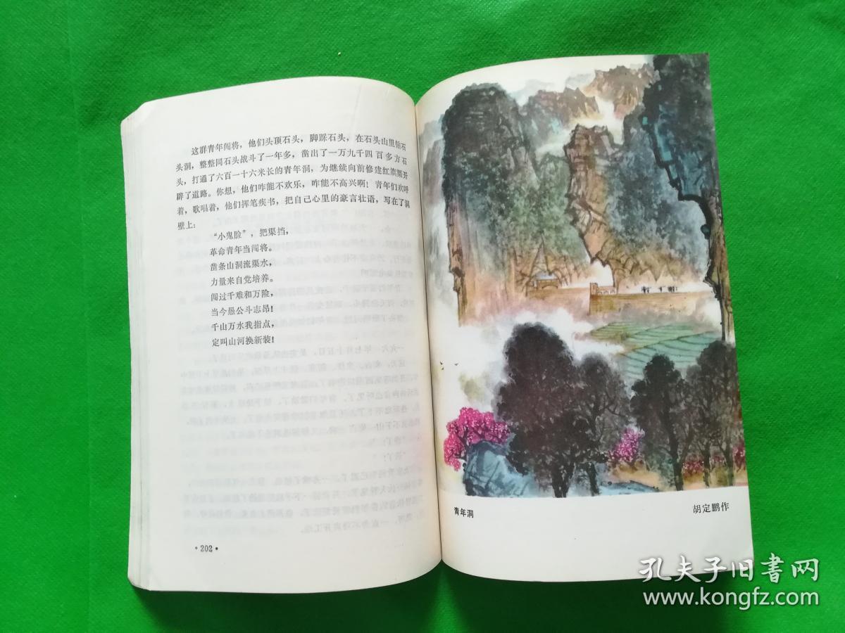 红旗渠颂(彩色插图本)