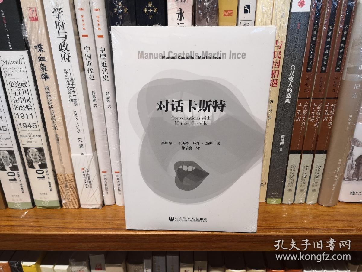 对话卡斯特[英]曼纽尔·卡斯特[英]马汀·殷斯 著;徐培喜 译)_简介