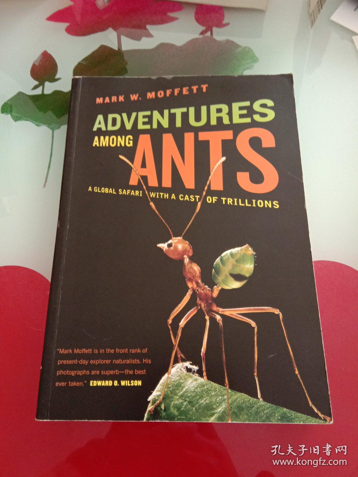 adventures among ants: a global safari with a cast of trilli