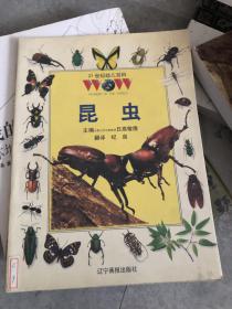 21世纪幼儿百科-昆虫