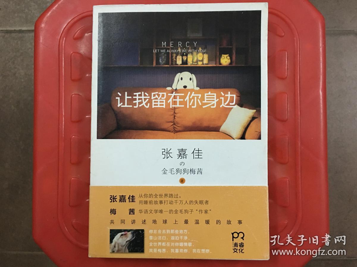 让我留在你身边,张嘉佳和金毛狗狗梅茜共同讲述地球上最温暖的故事