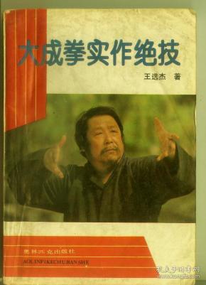 大成拳实作绝技