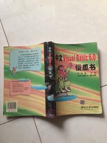 中文Visual Basic 6.0傻瓜书.
