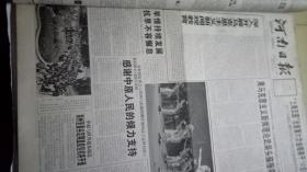 河南日报2001年6月1日8版