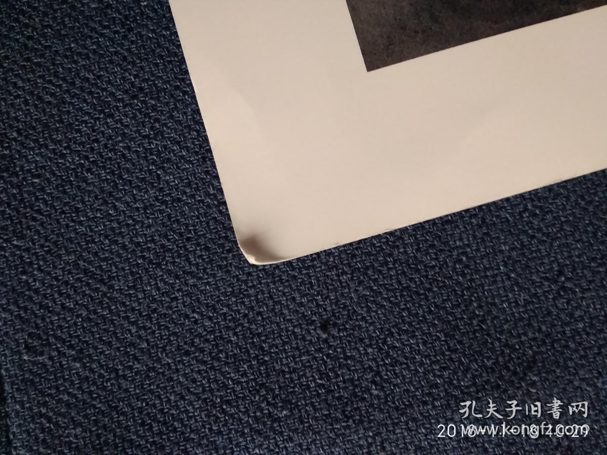 水彩画参赛作品签名照片《我?我!》作者:李云