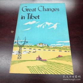 《Great Changes in Tibet》