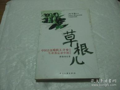[草根儿:中国首部农民工子女生命备忘录小说] 图书价格_书籍图片_网购