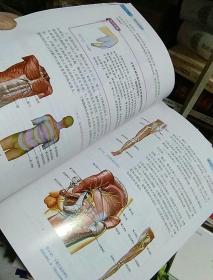 解剖学基础(新)