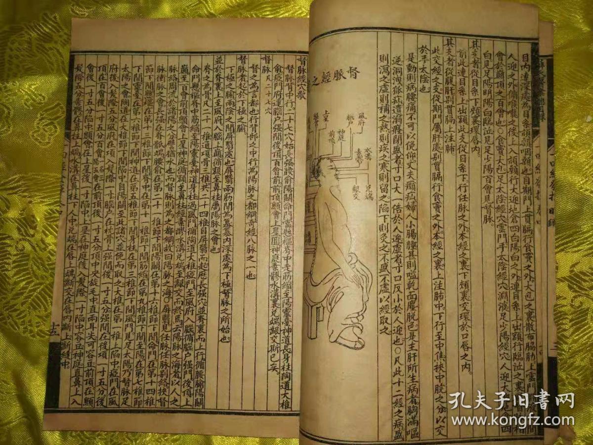 薛立斋医案全集 存十二种十三册 十四经发挥 难经本义 平治会萃 内科