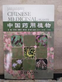 中国药用植物（二十五）