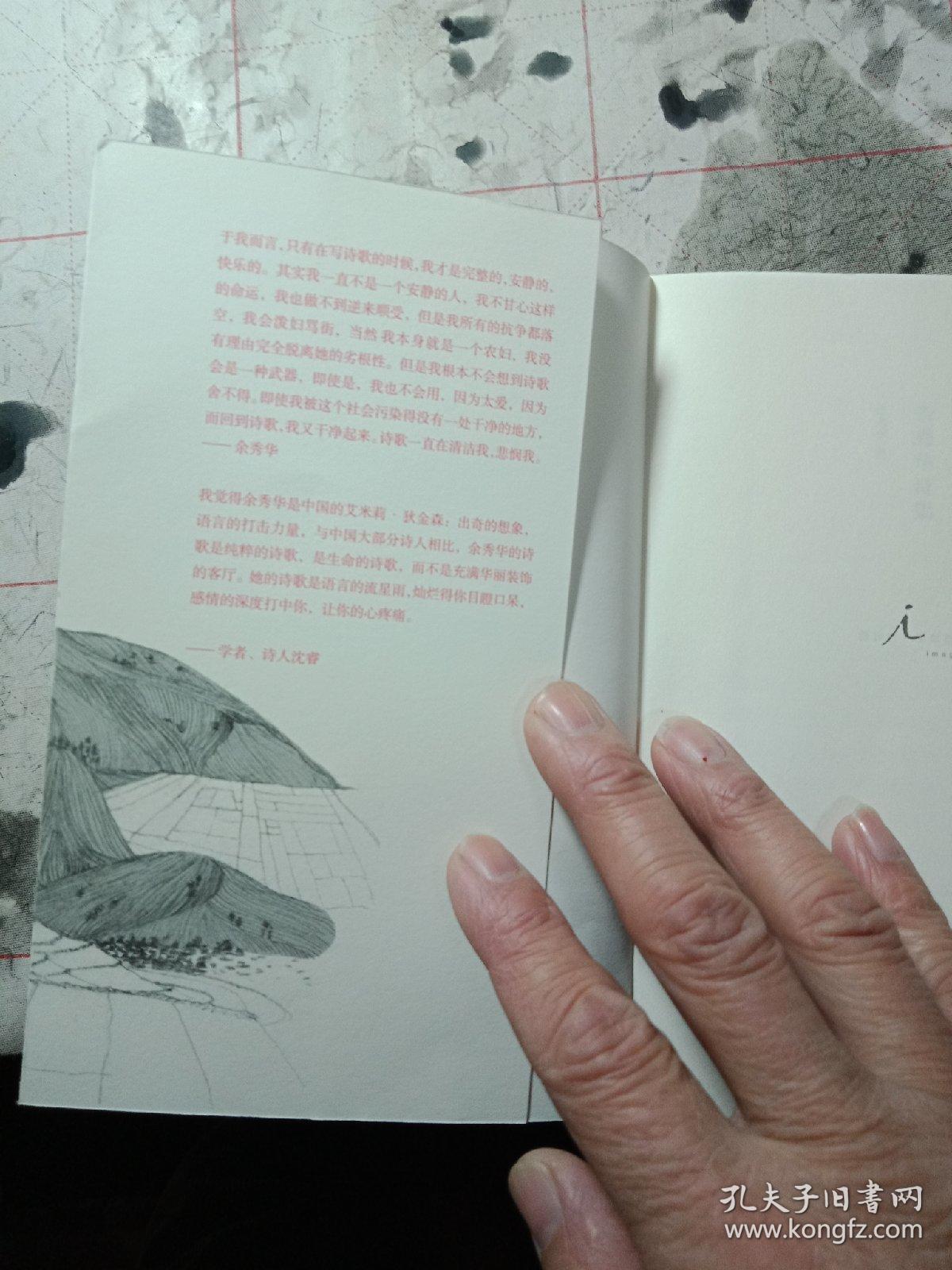 月光落在左手上:余秀华诗集