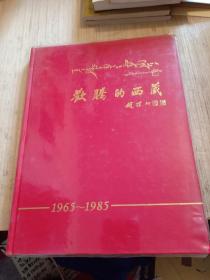 欢腾的西藏1965~1985